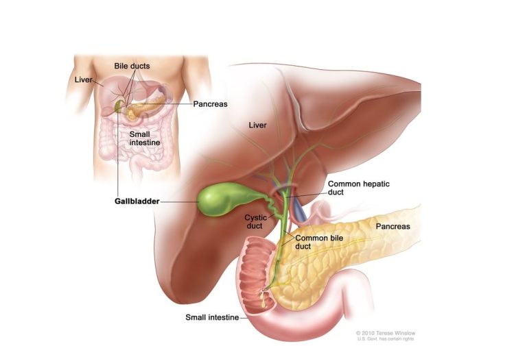 Gallbladder Cancer Treatment