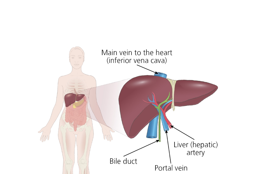 Best Medical Treatments in India for Tanzanians.